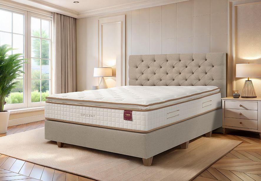 Colchões Molaflex - preços, gamas e diferenças entre modelos 2 artigo colchao